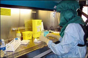 lab..jpg
